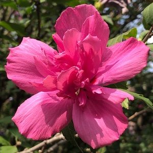 Meet your Posher, Katheyn